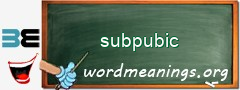 WordMeaning blackboard for subpubic